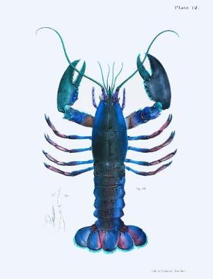 Book cover for Blue Lobsters