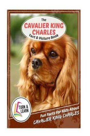 Cover of The Cavalier King Charles Fact and Picture Book