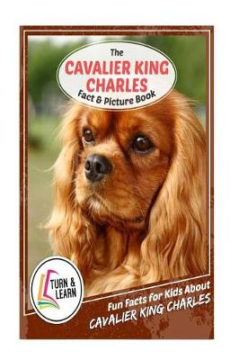 Book cover for The Cavalier King Charles Fact and Picture Book