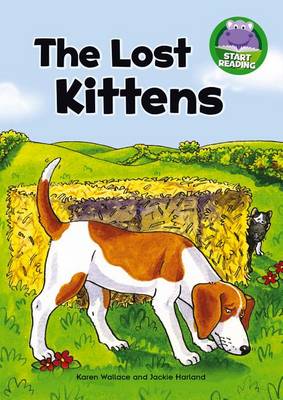 Book cover for The Lost Kittens