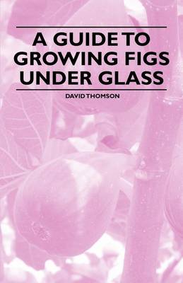 Book cover for A Guide to Growing Figs Under Glass