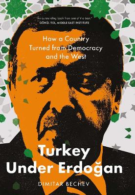 Book cover for Turkey Under Erdogan