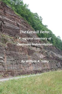 Book cover for The Catskill Delta