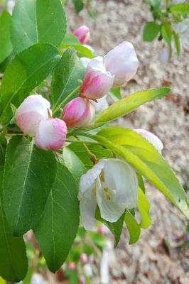 Cover of Journal Spring Flower Buds Ready To Open