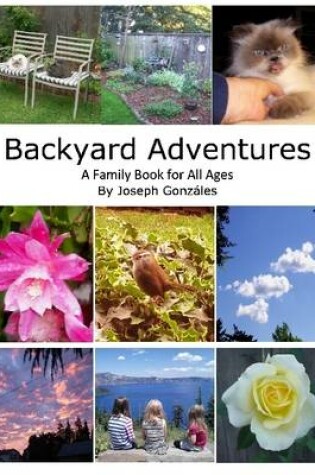 Cover of Backyard Adventures - A Family Book for All Ages