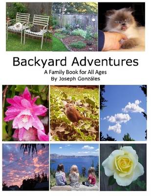 Book cover for Backyard Adventures - A Family Book for All Ages