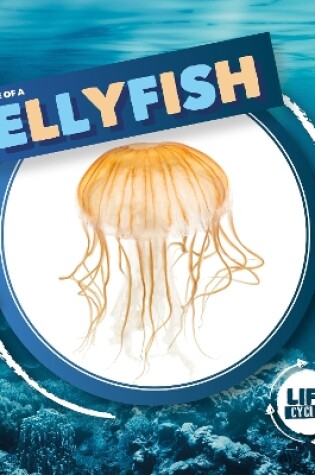 Cover of Jellyfish