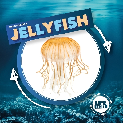 Book cover for Jellyfish