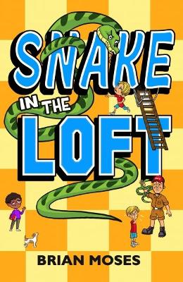 Book cover for Snake In The Loft