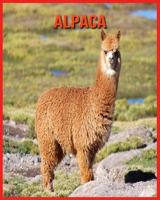 Book cover for Alpaca