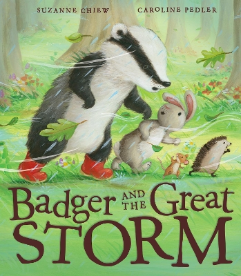 Book cover for Badger and the Great Storm