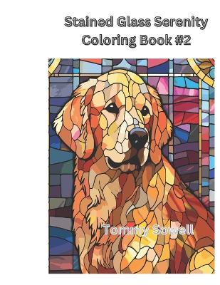 Book cover for Stained Glass Serenity coloring book