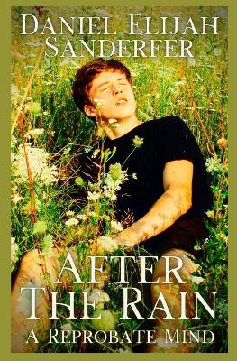 Book cover for After The Rain