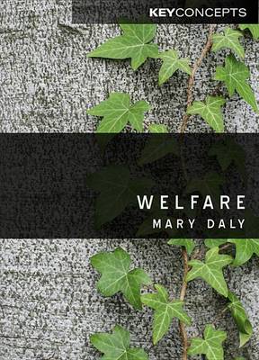 Book cover for Welfare