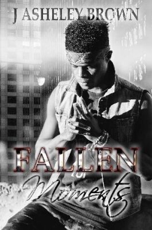 Cover of Fallen Moments