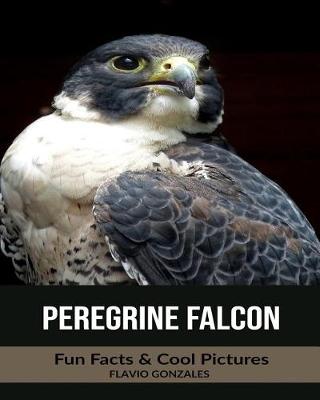 Book cover for Peregrine Falcon
