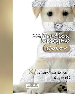 Book cover for Pratica Disegno [Color] - XL Eserciziario 10