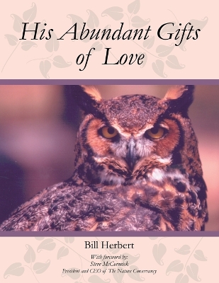 Book cover for His Abundant Gifts of Love