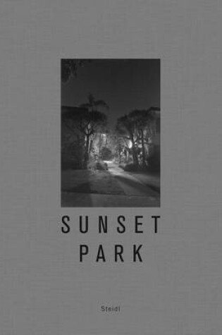 Cover of Henry Wessel: Sunset Park