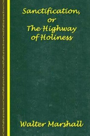 Cover of Sanctification; The Highway of Holiness