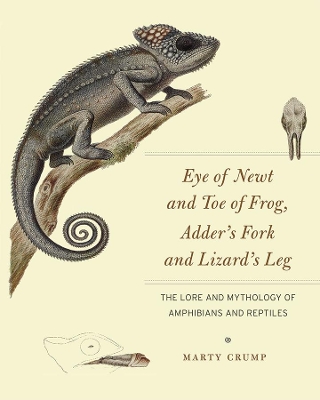 Book cover for Eye of Newt and Toe of Frog, Adder's Fork and Lizard's Leg