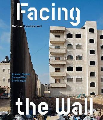 Book cover for Facing the Wall