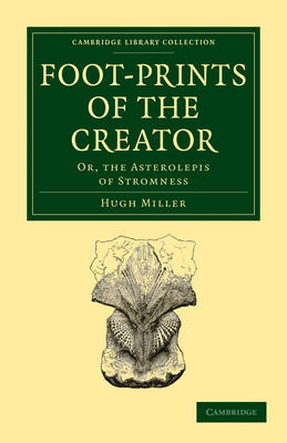 Cover of Footprints of the Creator