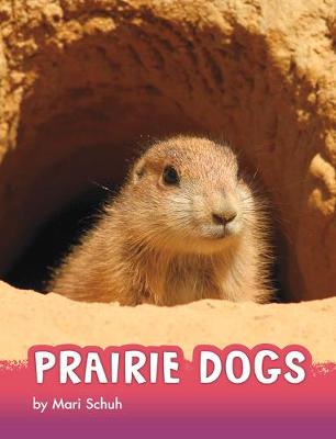 Book cover for Prairie Dogs