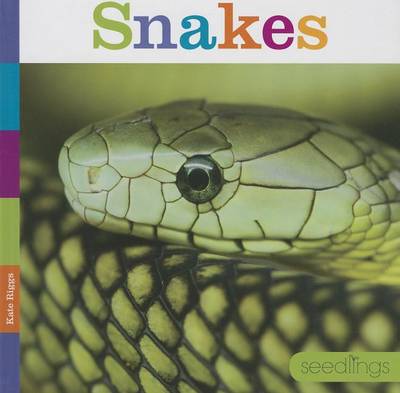 Cover of Snakes