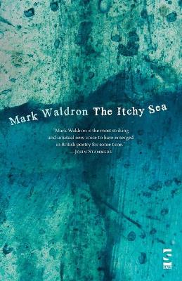 Book cover for The Itchy Sea