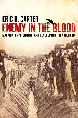 Book cover for Enemy in the Blood