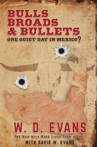 Cover of Bulls, Broads, & Bullets