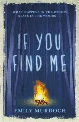 Book cover for If You Find Me