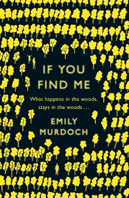 Book cover for If You Find Me