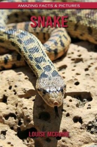 Cover of Snake