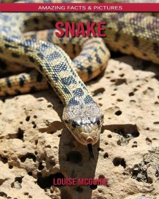 Book cover for Snake