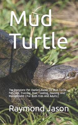 Book cover for Mud Turtle