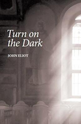 Book cover for Turn on the Dark