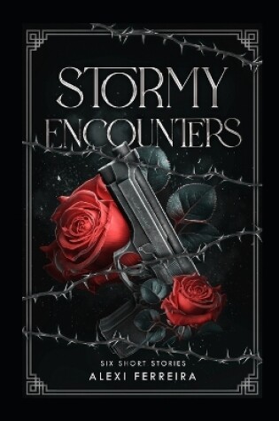 Cover of Stormy Encounters