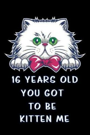 Cover of 16 years old you got to be kitten me