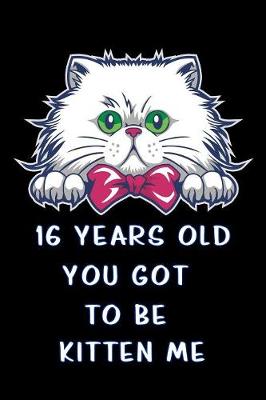 Book cover for 16 years old you got to be kitten me