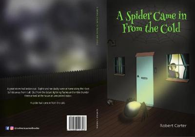 Book cover for A Spider came in from the Cold