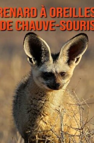 Cover of Renard à Oreilles de Chauve-Souris