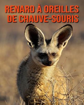 Book cover for Renard à Oreilles de Chauve-Souris