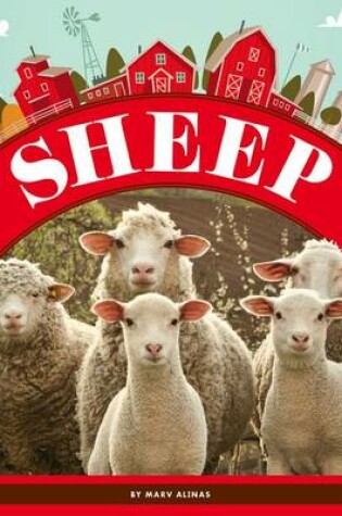 Cover of Sheep