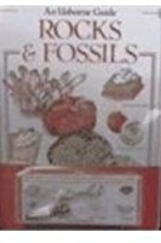 Cover of Rocks and Fossils