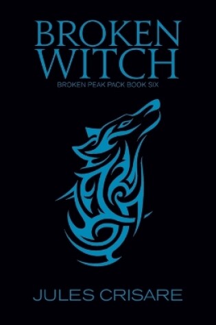 Cover of Broken Witch