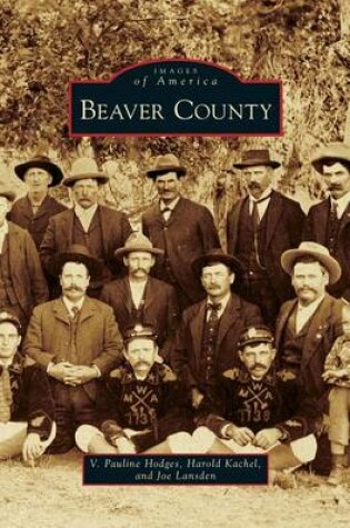 Cover of Beaver County