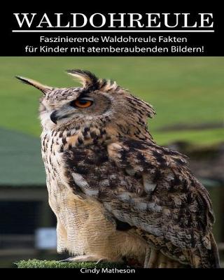 Book cover for Waldohreule