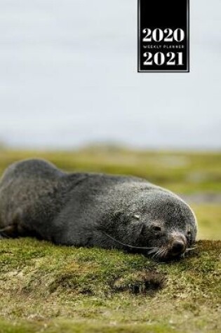 Cover of Seal Manatee Sea Lion Cow Walrus Dugong Week Planner Weekly Organizer Calendar 2020 / 2021 - On the Lawn